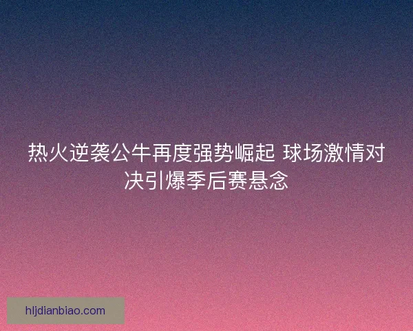 热火逆袭公牛再度强势崛起 球场激情对决引爆季后赛悬念