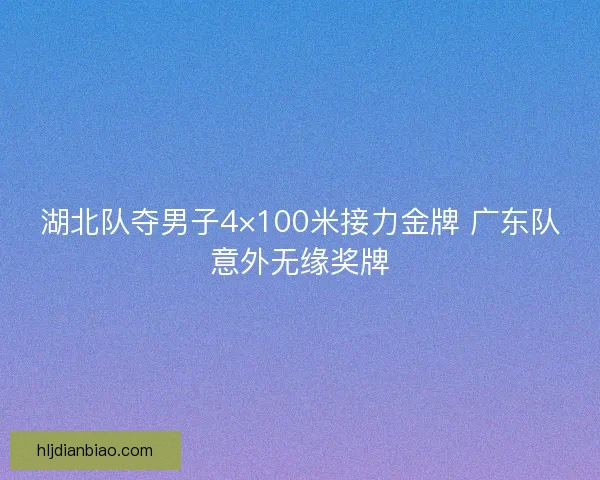 湖北队夺男子4×100米接力金牌 广东队意外无缘奖牌